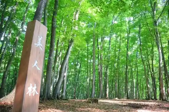 Bijin Hayashi