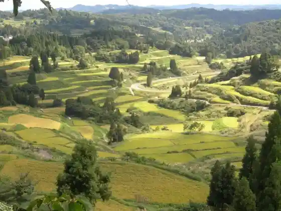Satoyama no Tatsujin Takushii