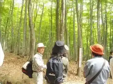 Kokoro Bijin Haikingu