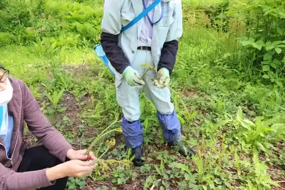 Niigata Matsunoyama Sansai Sono