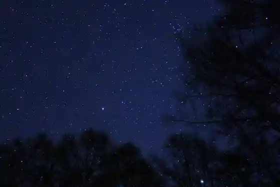 Tsumari Su no Shu Tour (Night Kosu)