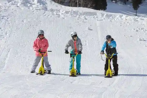 Su no Baiku / Matsunoyama Onsen Ski Area