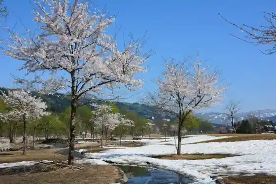 Seishin Kawa Furesshu Park