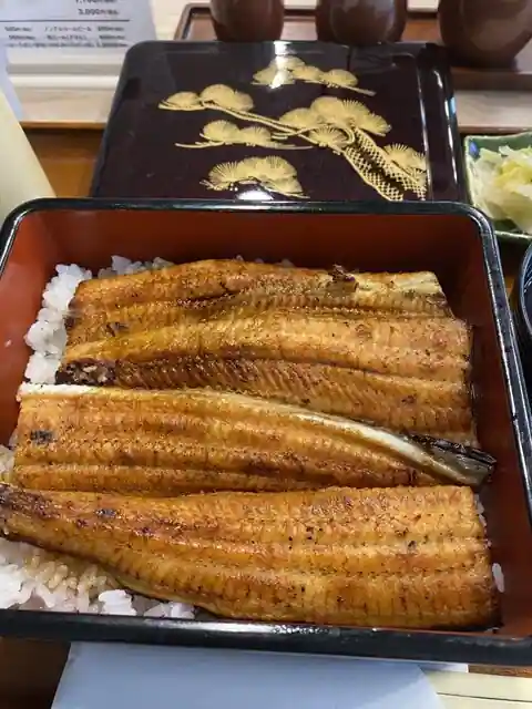 Sazanka
