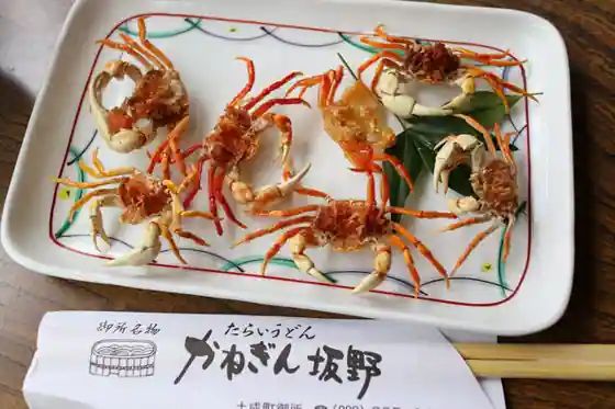 Kanegin Sakano