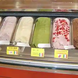 手作りジェラートの店 ポコアポコ