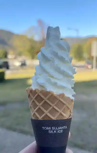 阿波・お食事処 よしの亭