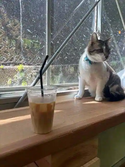 ハレとケ珈琲