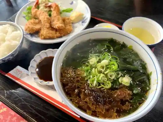 Iroha Teuchi Udon