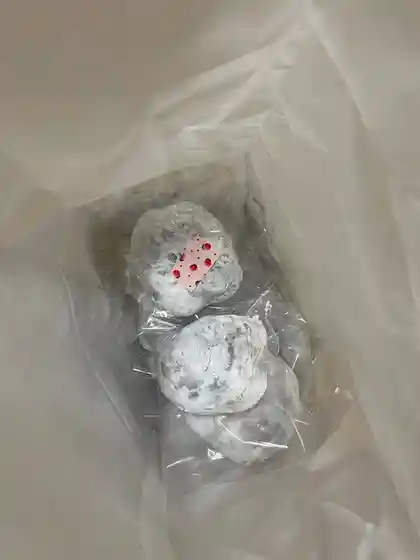 桑月堂