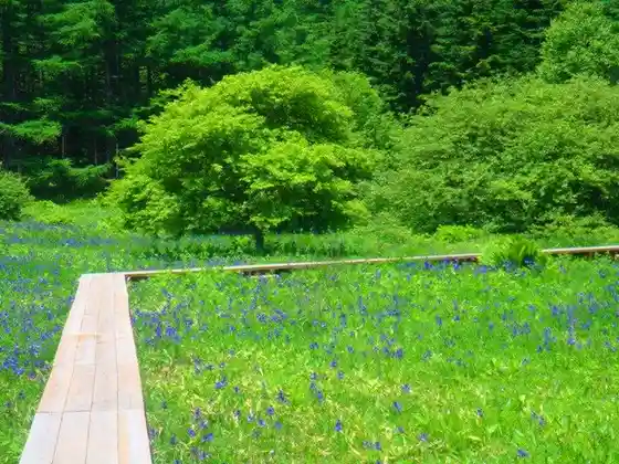 Usukubo Wetland