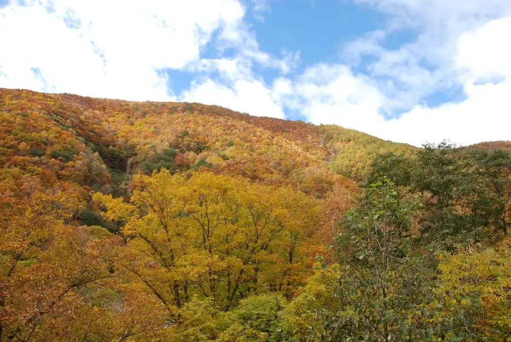 Yunomaru Highlands