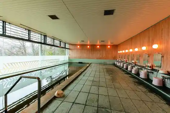 Kanehara Hot Spring, Ota Ward Recreation Village Tobu
