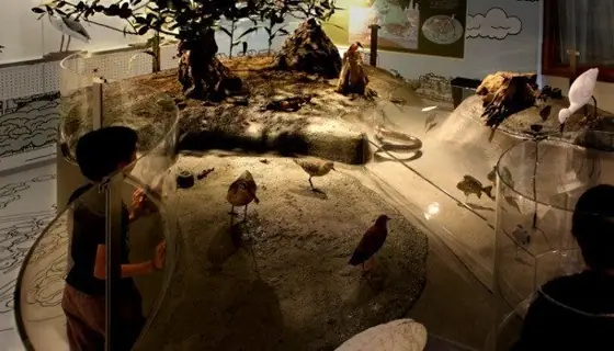 Manko Waterbird and Wetland Center