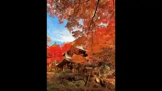 Kiyomizu Temple