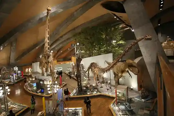 Gunma Museum of Natural History