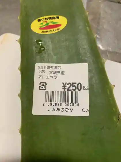CAINZ 仙台富谷店