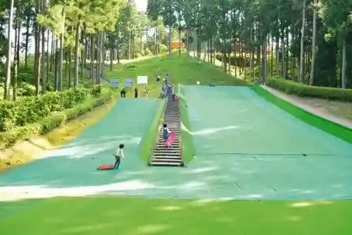 Daikameyama Shinrin Koen