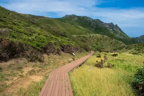 Shimajirimo Walking Trail