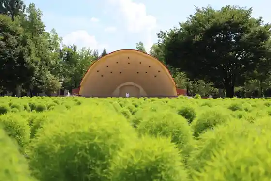 Tonami Churippu Park Kokia no Ohana Dan