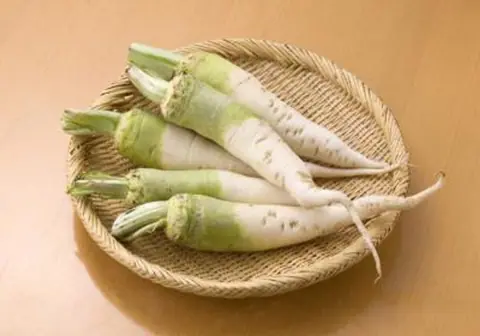 Kuratsubo turnip