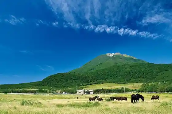 Mt. Otake