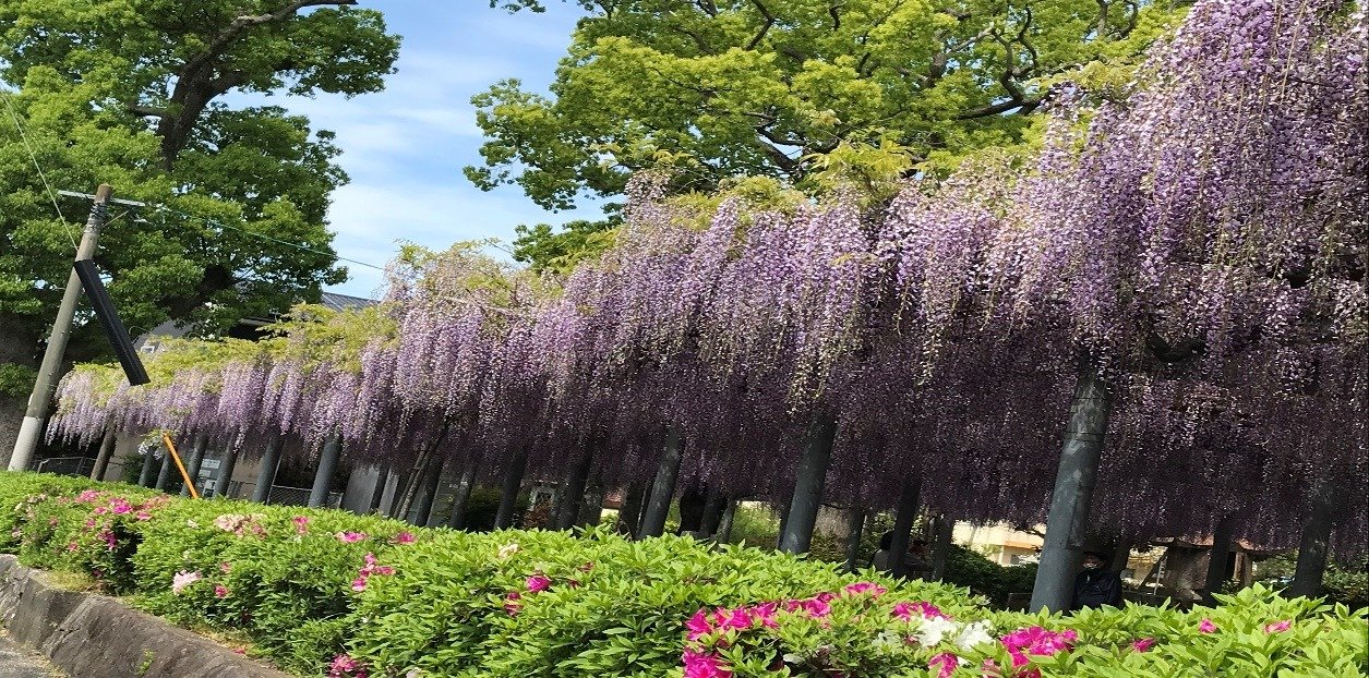 Maki Town Tenma Shrine