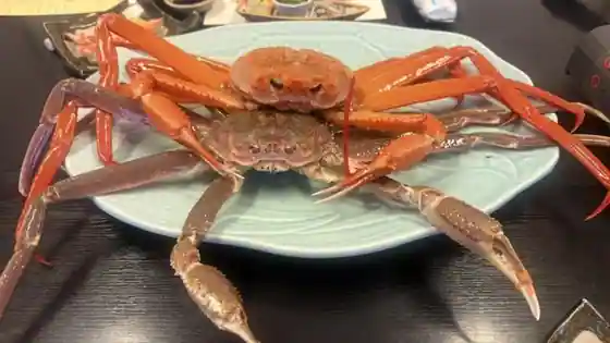 味処 美佐