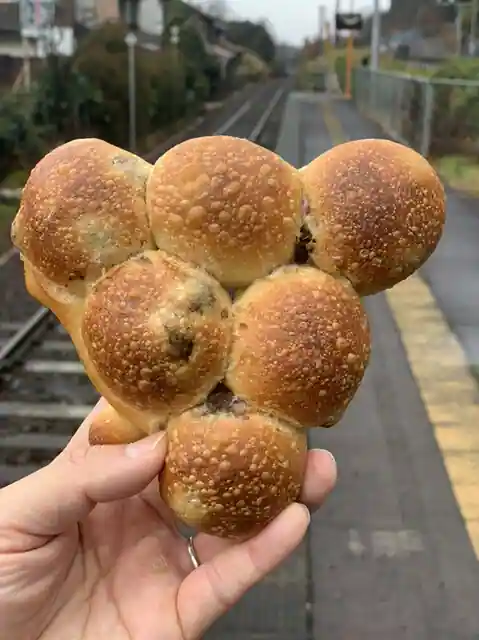 Morinohito