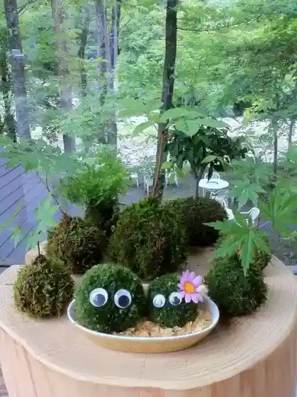Oirase Moss Ball Workshop