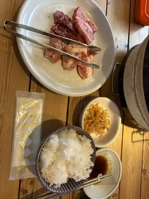 からしし