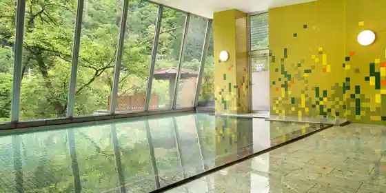 Hotel Kurobe