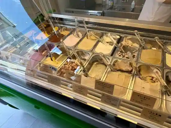 Gelateria ZUCCA
