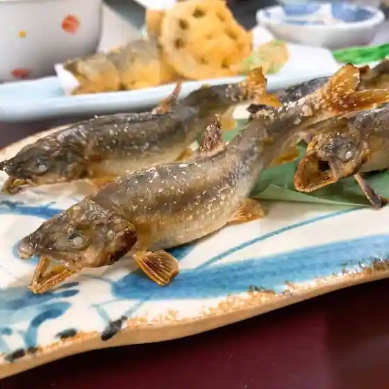 Tonami No Tennen Ayu To Kaisen Restaurant Sakana An