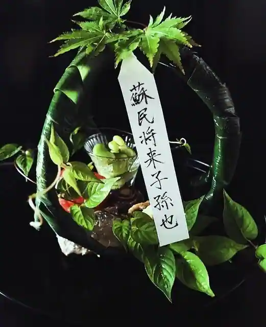 Goryo Ri Hiwatari