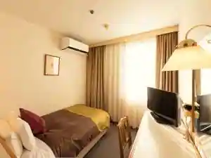 Sky Hotel Uozu