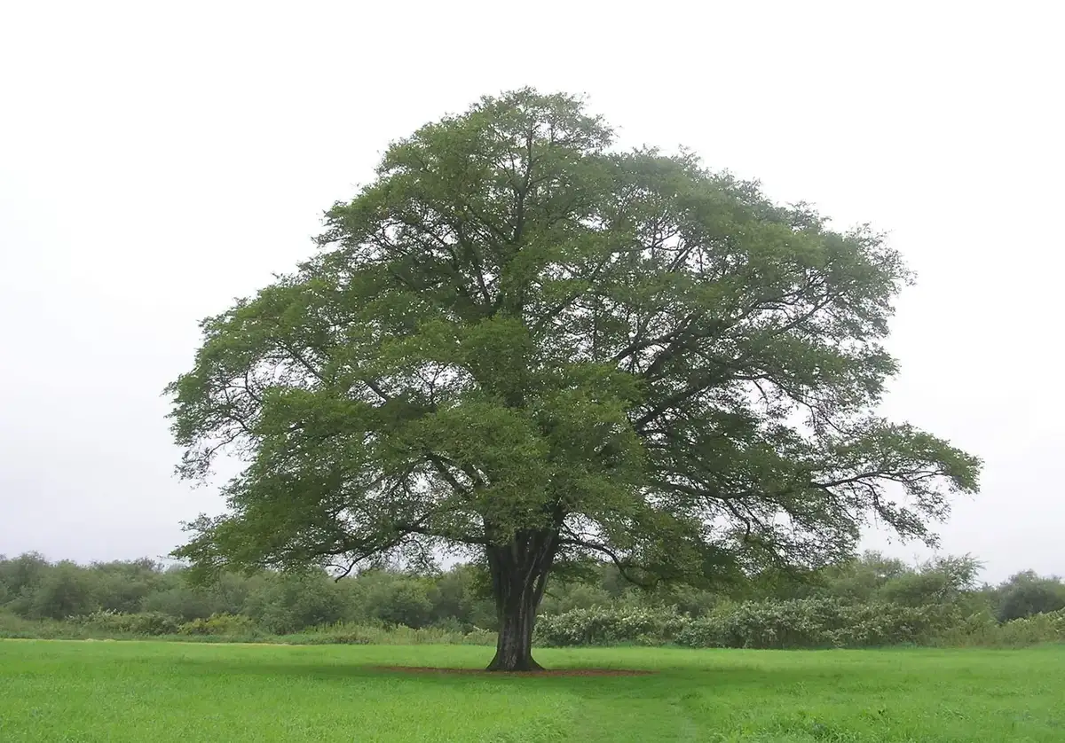 Toyokoro, Hokkaido