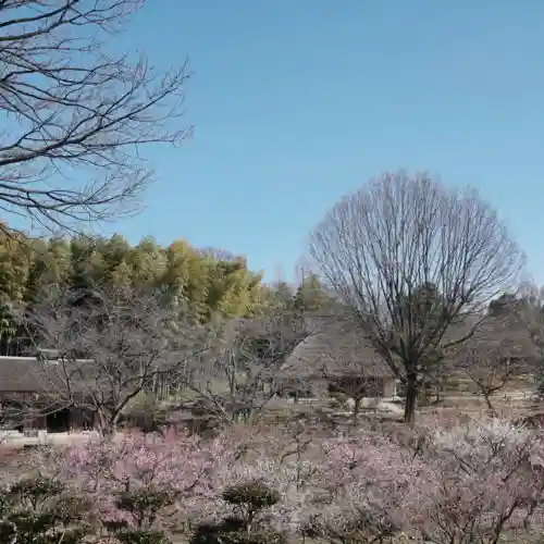 Nippon Minka Shuraku Museum