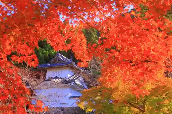Izushi Castle Ruins