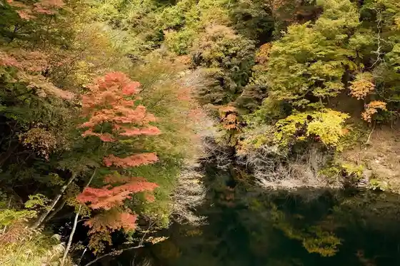 Autumn Foliage at Abukawa Gorge and Hinatayama Dam