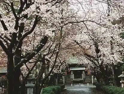 Inukami Shrine (Toyosato)
