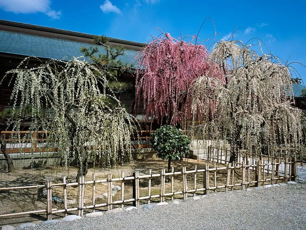 Yuki Shrine