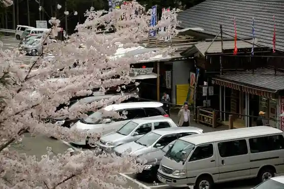 Tsubame Bunsui Bijitasabisu Center