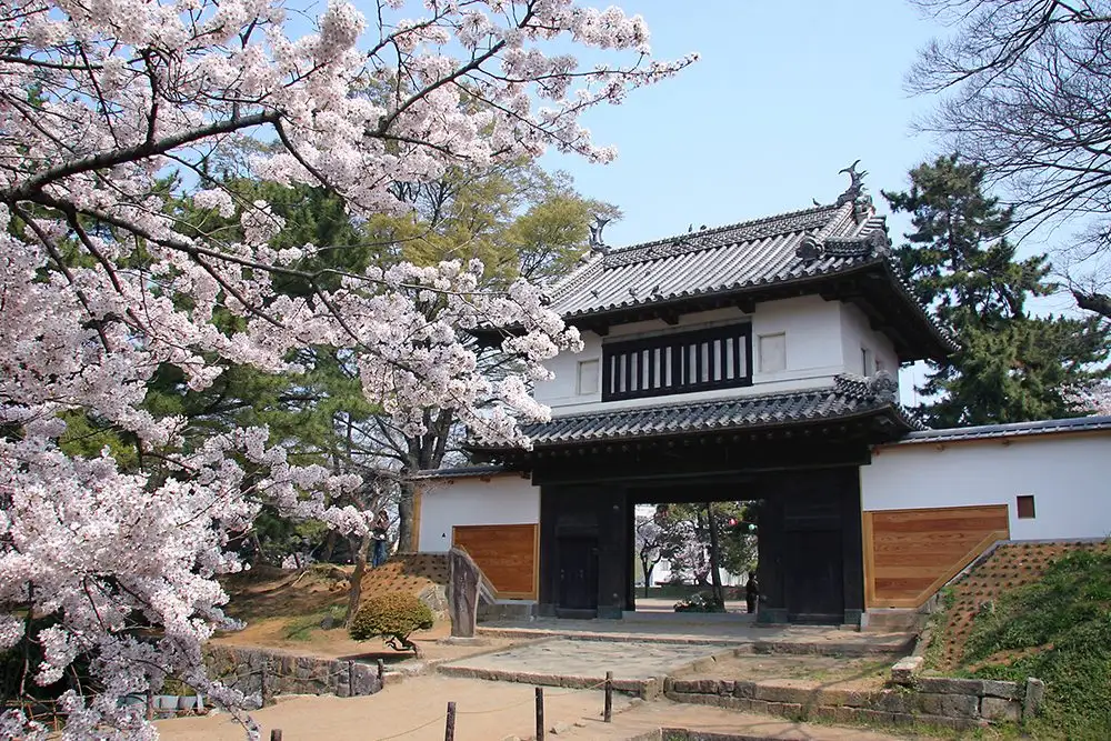 Kijo Park