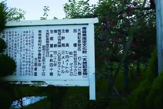 Japan's Oldest Apple Trees