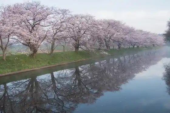 Fukuoka Seki