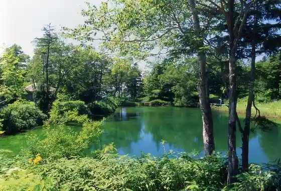 Ushi Pond