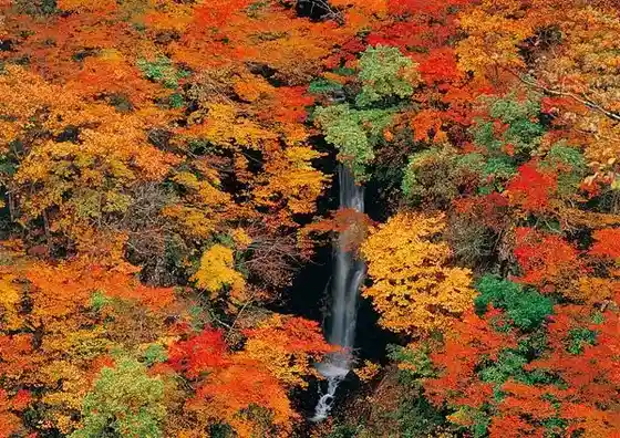 Hebi Fuchi Falls