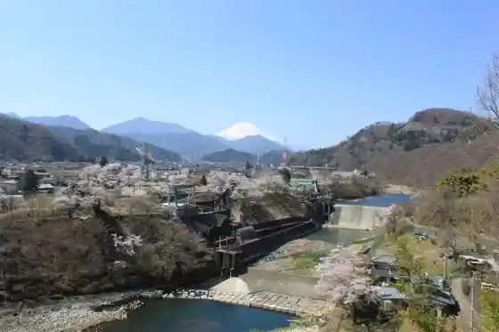Kawamo Weir Cherry Blossoms