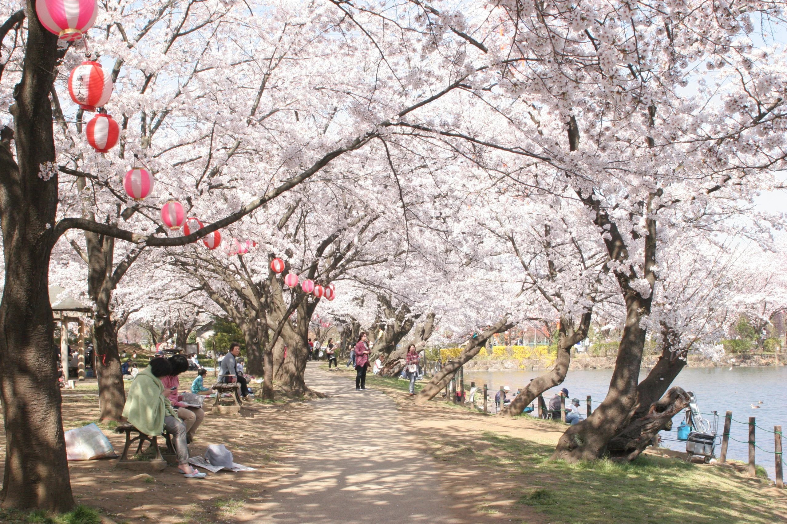 Tsurugashima Sports Park